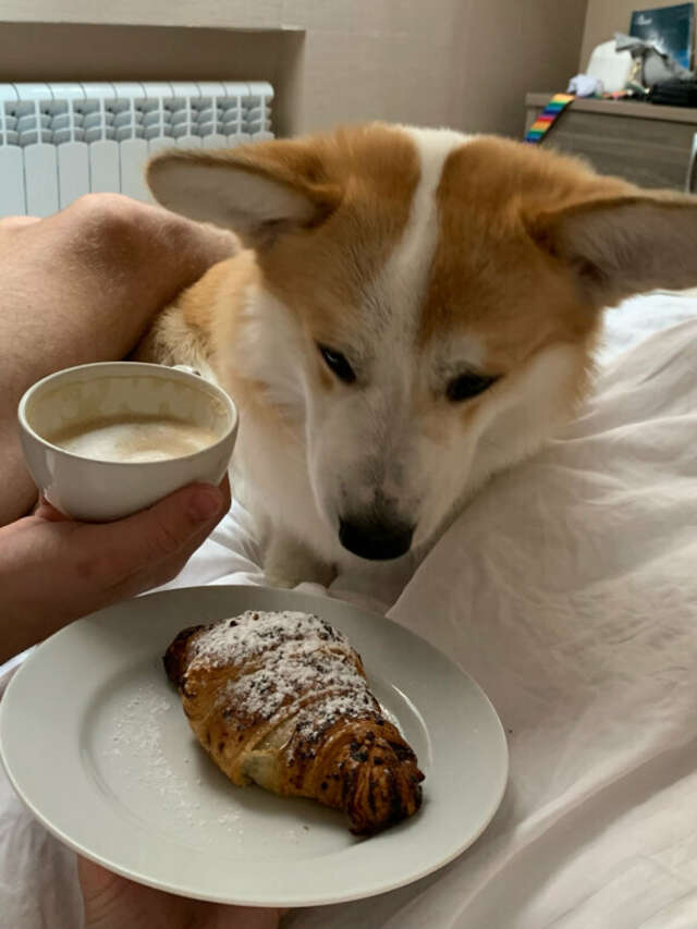 Гостиница Хемингуэй Краснодар-238