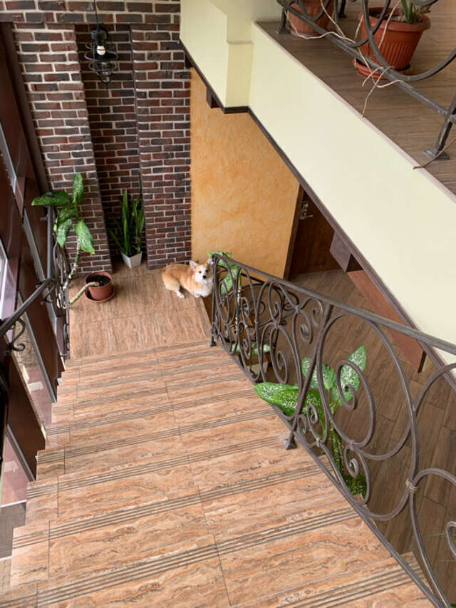 Гостиница Хемингуэй Краснодар-210