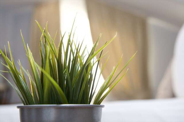 Гостиница Хемингуэй Краснодар-14