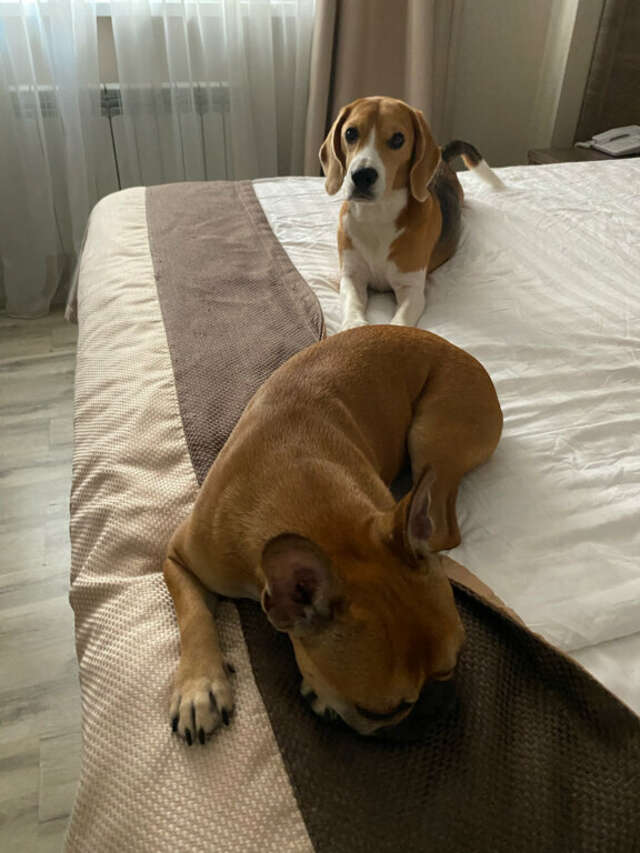 Гостиница Хемингуэй Краснодар-188