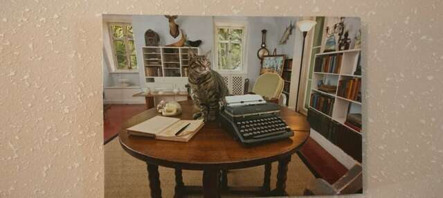 Гостиница Хемингуэй Краснодар-184